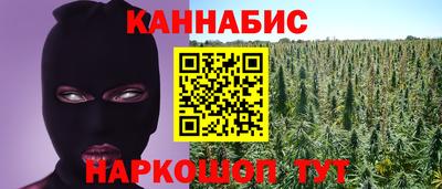 сатива Кунгур