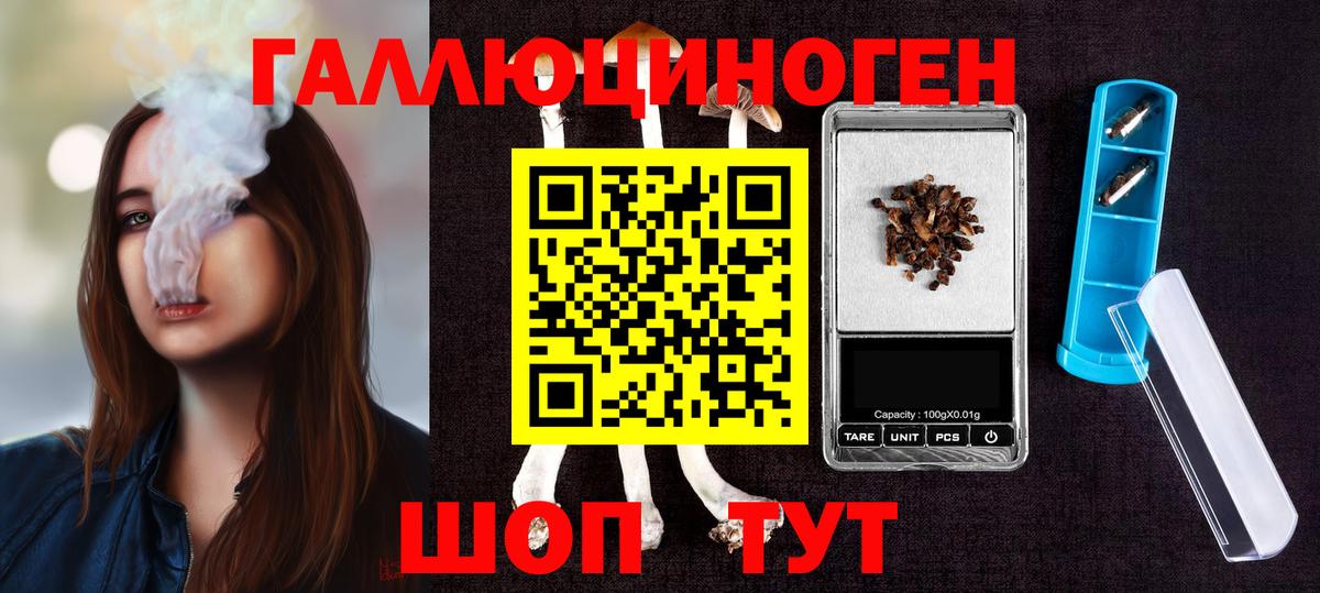Псилоцибиновые грибы Psilocybine cubensis Ишимбай